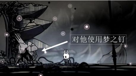 《空洞骑士》空洞骑士虚空之心怎么拿？