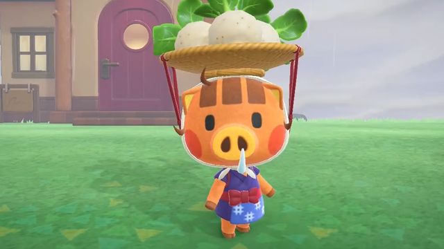 《集合啦！動物森友會》動森週日曹賣在哪出現？