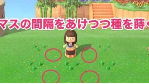 《集合啦！動物森友會》風信子可以雜交出幾種新顏色?如何搭配?