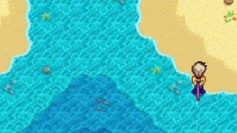 《星露穀物語》章魚怎麼釣？