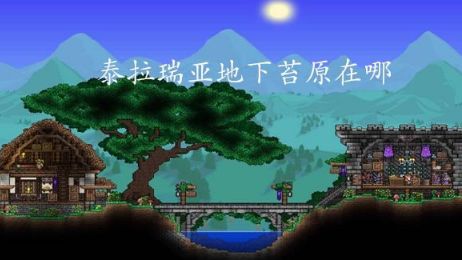 《泰拉瑞亞》地下苔原在哪？
