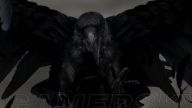 《黑暗之魂：重置版》如何獲得武器