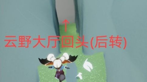 《光遇》遺忘方舟風之靈在哪？
