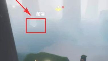 《光遇》小王子在雨林哪裏？