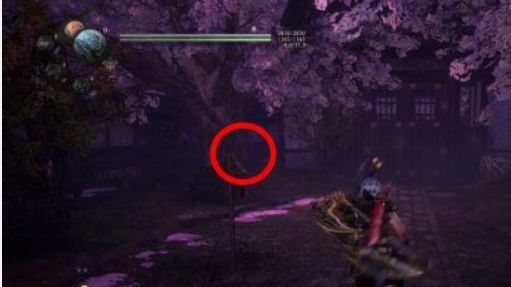 《仁王2》如何完成任務-夢路篇-醍醐賞櫻?