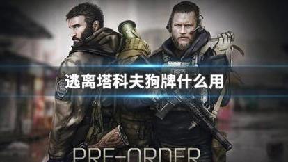 《逃離塔科夫》狗牌有什麼用？