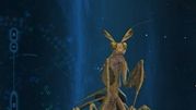 《古劍奇譚3》如何獲得祈花螳螂?喜歡什麼食物?