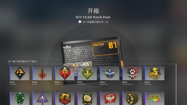 《反恐精英：全球攻勢》csgo布章有什麼用？