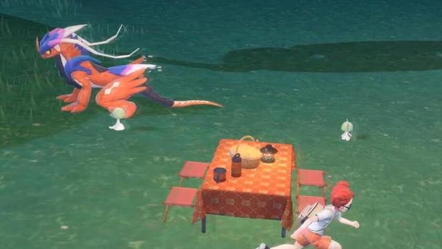 《宝可梦 朱》宝可梦朱紫野餐怎么玩？