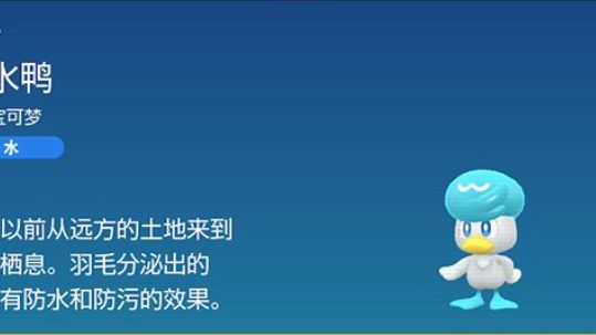 《宝可梦 朱》宝可梦朱紫润水鸭怎么抓？