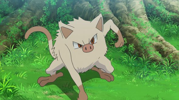 《寶可夢 朱》寶可夢朱紫猴怪在哪裏？