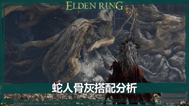 《艾爾登法環》蛇人骨灰搭配分析