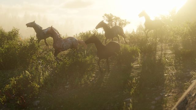 《荒野大鏢客：救贖2》莫弗裏家族隱藏馬匹獲得方法詳解
