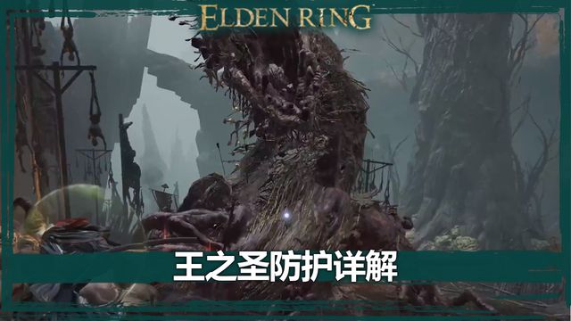 《艾爾登法環》王之聖防護詳解