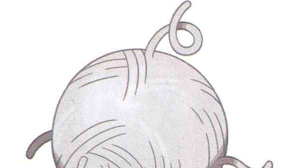 《宝可梦 朱》宝可梦朱紫的团珠蛛几级进化？