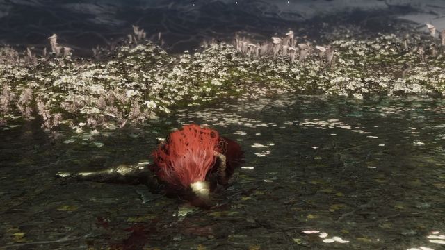 《艾爾登法環》無用之人開荒玩法詳解