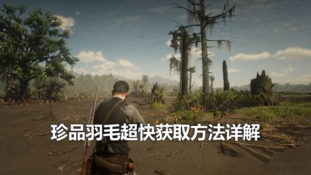 《荒野大鏢客：救贖2》珍品羽毛超快獲取方法詳解