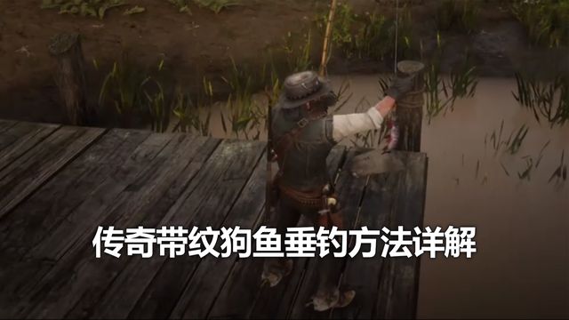 《荒野大鏢客：救贖2》傳奇帶紋狗魚垂釣方法詳解