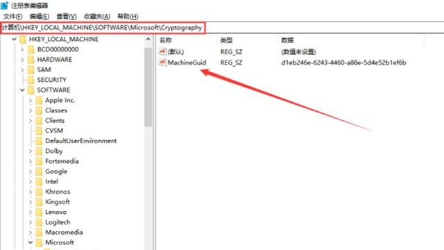 《生化危机8：村庄》黑屏闪退问题解决方法