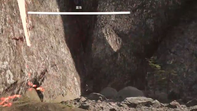《原子之心》露珠怎麼打？
