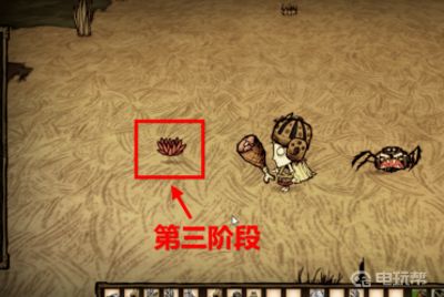 电玩帮