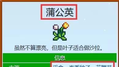 《星露穀物語》蒲公英怎麼獲得？