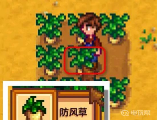 电玩帮