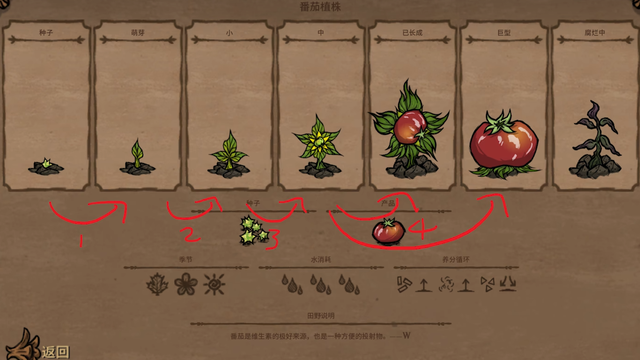 《饑荒聯機版》養分流失是什麼意思？