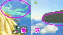 《塞爾達傳說：王國之淚》王國之淚白龍素材多久刷新？