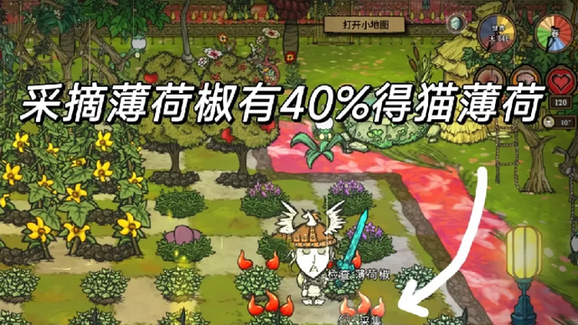《饑荒聯機版》饑荒棱鏡貓薄荷在哪？