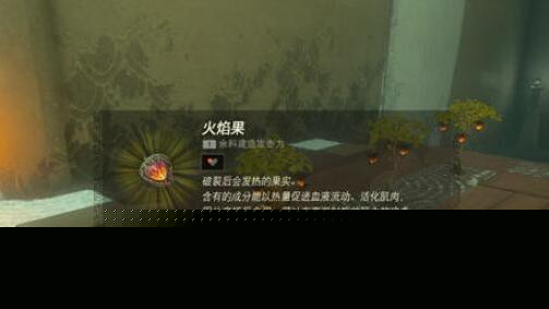《塞爾達傳說：王國之淚》火箭怎麼獲得？