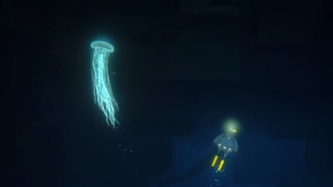 《潜水员戴夫》发光的水母在哪？