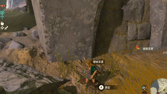 《塞爾達傳說：王國之淚》塞爾達王國之淚在初時空島怎麼得暖暖果？