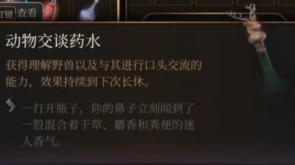 《博德之門3》動物交談藥水在哪？